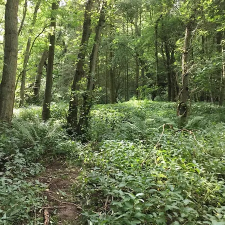 Swainby Hideaways