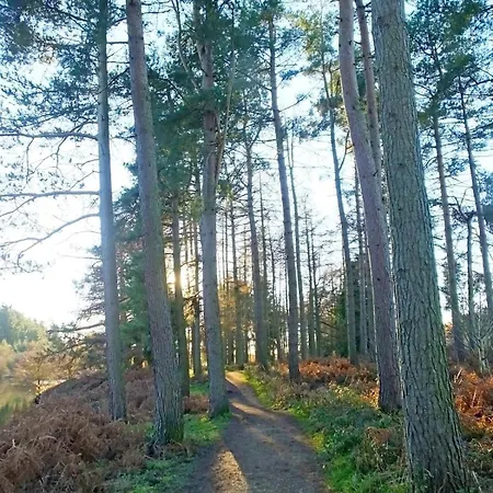 Swainby Hideaways *